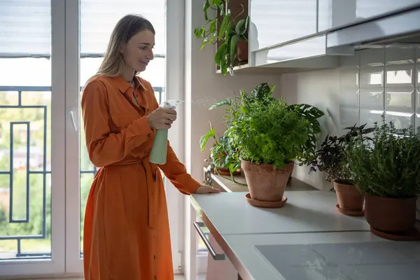 Femme Scandinave Pulvérisation Usine Menthe Verte Fraîche Dans Maison Pot — Photo