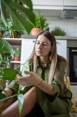 Attentive middle aged woman plant lover caring for plants, sits near Monstera houseplant and inspected leaves. Female enjoying leisure time by doing home gardening. Being in touch with nature.  clipart