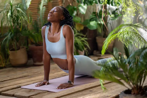 Konsantre Afro Amerikalı Kadın Yoga Zamanında Spor Minderinde Bitkileriyle Yılan — Stok fotoğraf