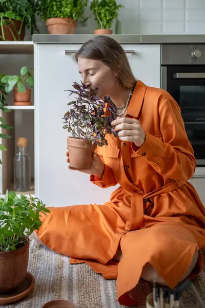 Kobieta Pachnąca Bazylią Uprawiającą Garnku Kuchni Jedzenia Szczęśliwy Miłośnik Roślin — Zdjęcie stockowe