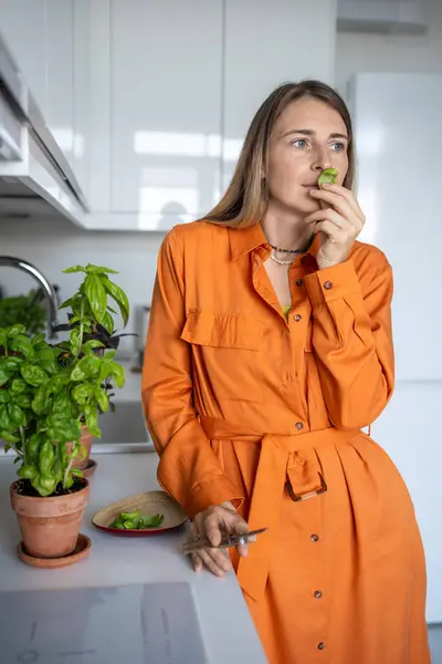 Mujer Huele Hojas Albahaca Cultivadas Casa Jardinero Femenino Disfrutando Del —  Fotos de Stock