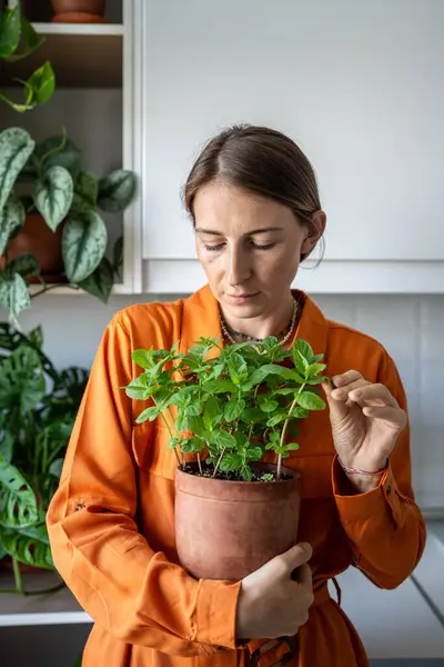 stock image Woman hugs pot with mint herbs. Female gardener in orange dress touches leaves of fragrant home-grown mint against backdrop of houseplants. Plant lover, hobby, urban jungle concept.