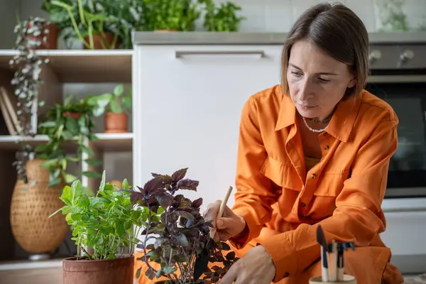 Woman Taking Care Potted Homegrown Basil Mint Herbs Sits Floor — Stock Photo, Image
