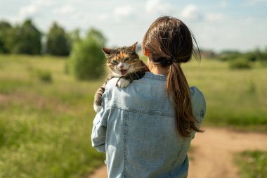 Domestic cat on leash for first time outdoor sits on shoulder of owner, stressed, worried and afraid, breathing heavily, opening mouth, sticking out tongue, overheated and feel thirsty. Summer weather clipart