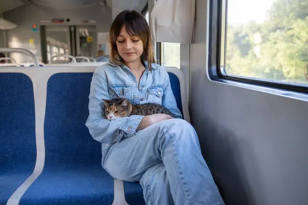 stock image Relaxed girl holding hugging frightened kitten. Stressful pet sitting on lap of owner with irritated angry muzzle face. Woman trying to calm down, embracing anxious kitty, scared worried by trip.