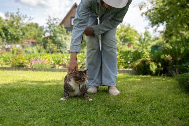 Fearful kitten at countryside for first time, feels uncomfortable in new village atmosphere. Woman gently soothes cat, helps to cope with stress, anxiety. Kitty explores unusual unfamiliar environment clipart