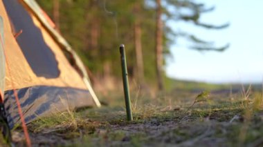 Sivrisinek kovucu çubuk. Ormanda, kamp çadırının yakınında dumanlı. Citronella ile yakan böcek ilacı, kan emici böceklerden korunma.