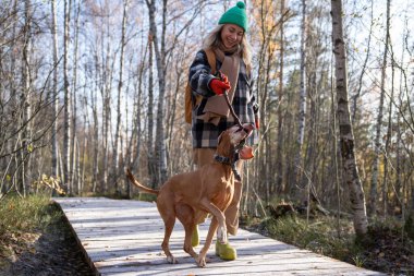 Gülen kadın köpekle oynuyor, tahta sopa çekiyor, soğuk sonbahar ormanlarında evcil hayvan gezdiriyor. Hayvan sağlığını koruyan kadın, açık hava aktiviteleri, doğadaki şakacı rekabet. Hayvan bakımı, evlat edinme, boş zaman aktivitesi