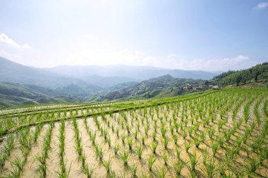 teraslı alan arkaplan fotoğrafı