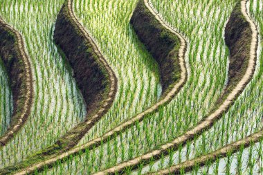 teraslı alan arkaplan fotoğrafı