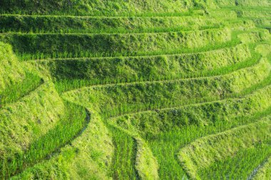 Park yeri arkaplan fotoğrafı