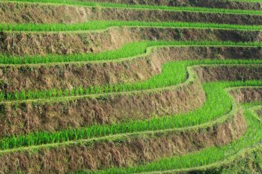 Park yeri arkaplan fotoğrafı