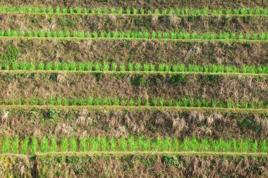 Park yeri arkaplan fotoğrafı