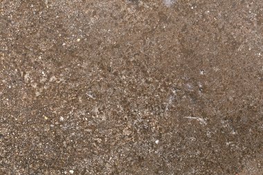 Kurutulmuş beyaz bez arkaplan fotoğrafı