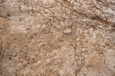 Kurutulmuş beyaz bez arkaplan fotoğrafı