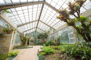 Terk edilmiş bina arkaplan fonlaması