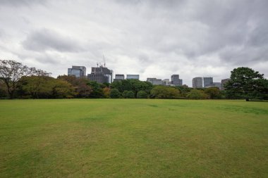 Tokyo Japonya 'ya park et.