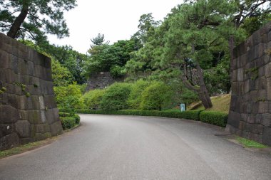 Tokyo Japonya 'ya park et.
