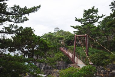 Jogasaki kıyılarındaki manzara Japonya