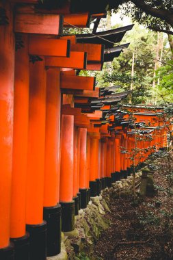 Fushimi Inari tapınak Kyoto Japonya'da