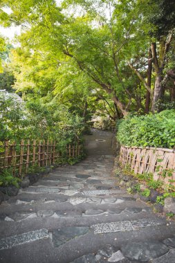 Kyoto Japonya 'daki park yolu.