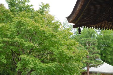 Kyoto Japonya 'da manzara