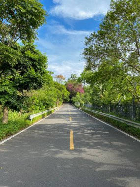 Shenzhen Çin 'de asfalt yol