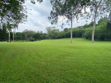 Guangzhou porselenlerinde manzara geçmişi