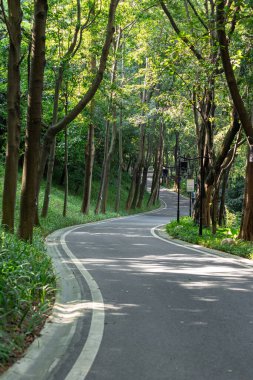 Guangzhou Çin 'de park yolu.
