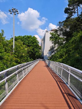 Guangzhou Çin 'in doğasında bir yol.