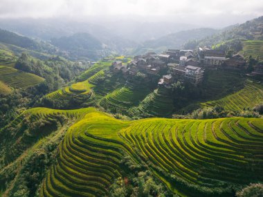 Longsheng Guilin Çin 'deki teras.