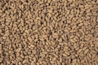 Bir sürü fıstık arkaplanı var.