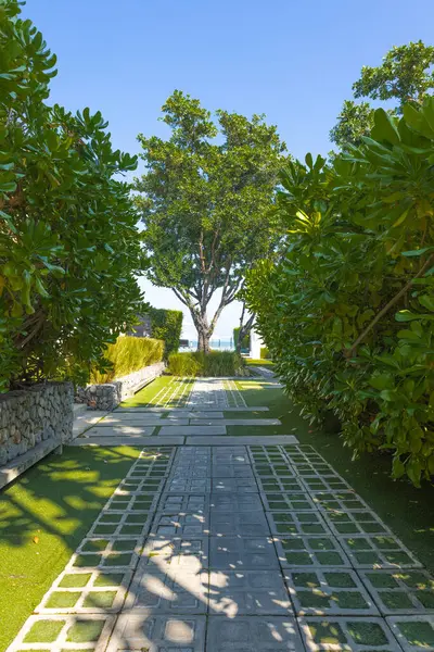 Huahin Tayland 'da ağaçlı patika