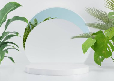 Basit ürün arkaplanı 3B biçimlendiriliyor