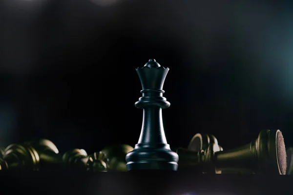 Die Schachkönigin Ist Gewinnerin Aller Schachwettbewerbe Konzept Normale Normale Menschen — Stockfoto