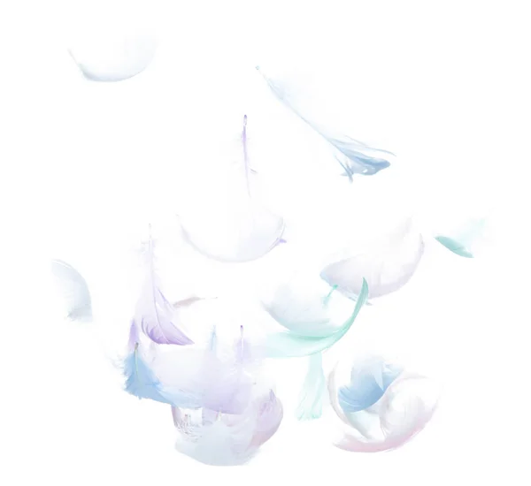 stock image Many Pastel Feather fly fall in Air over white background isolated. Puffy Fluffy soft feathers as purity smooth like dream floating dove in sky. Angle flying from heaven, photo motion