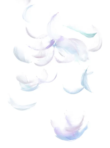 Viele Pastellfedern Fliegen Isoliert Der Luft Über Weißem Hintergrund Geschwollene — Stockfoto