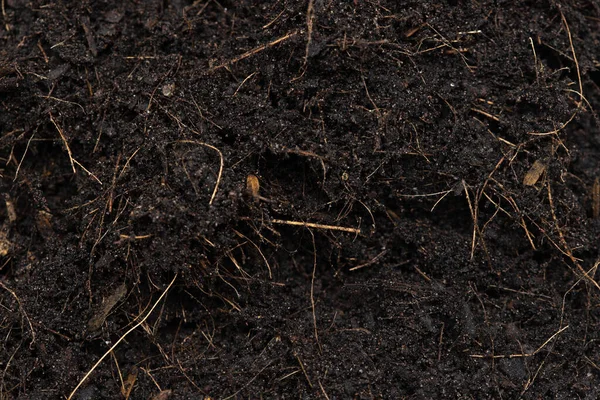 Černé Hnojení Půda Připravená Výsadbě Dobré Organické Půdy Kořenem Pro — Stock fotografie