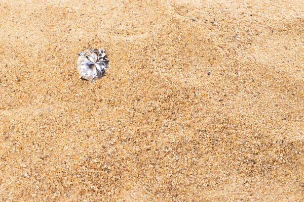 Big Carat Diamond Jewelry Gemstone Sand Beach Tropical Island Beautiful — Stock Photo, Image