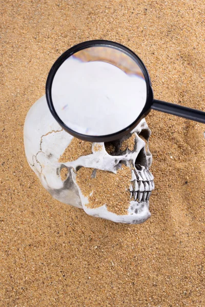 Detective Collecting Looking Evidence Cause Dead Crime Scene White Bone — Stock Photo, Image