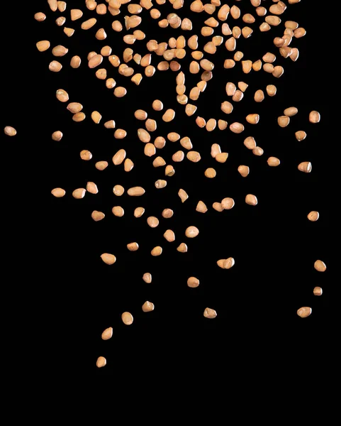 Erdnussfliegen Explodieren Braune Erdnüsse Explodieren Abstrakte Wolkenfliege Schöne Komplette Samen — Stockfoto