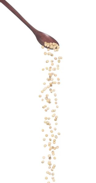 大豆の秋 黄色の穀物豆抽象的な雲が爆発木製のスプーンから飛ぶ 美しい完全な種子エンドウ豆大豆 食品オブジェクトのデザイン 選択的フォーカスフリーズショット白の背景が隔離 — ストック写真