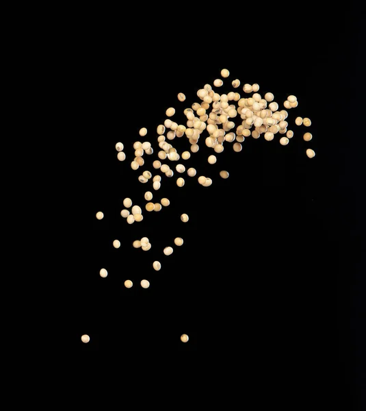Sojabohnen Fliegen Explosionsartig Gelbe Getreidebohnen Explodieren Abstrakte Wolkenfliege Schöne Komplette — Stockfoto