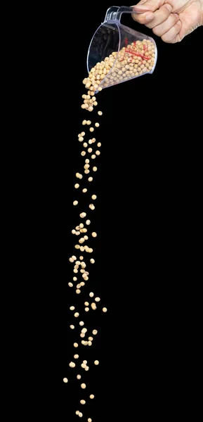 Soijapapu Putoaa Keltaiset Viljapavut Räjähtävät Abstrakti Pilvi Lentää Mittakupista Kaunis — kuvapankkivalokuva