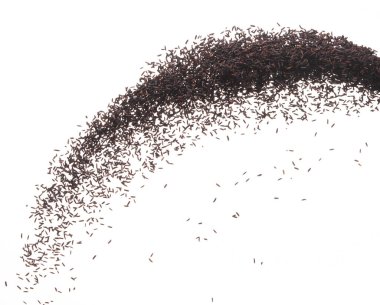 Böğürtlenli pilav torbadan akıyor, siyah mor böğürtlen dalgasıyla havada süzülüyor, yere düşüyor. Pirinç meyvesi organik sağlıklı yemektir. Beyaz arkaplan izole edilmiş yüksek hızlı deklanşör, dur hareketi