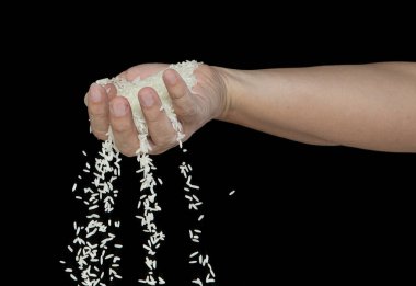 Japon pirinç patlaması, beyaz tahıl kabukları soyut bulut sineği patlaması. Çok güzel bir tohum, pirincin havaya sıçraması, yiyecek nesnesi tasarımı. Seçici odak dondurucu çekim Siyah arkaplan izole