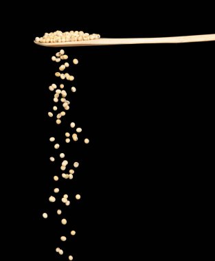 Soya fasulyesi düşer, sarı fasulyeler tahta kaşıktan soyut bulut sineği patlatır. Çok güzel bir bezelye tohumu soya fasulyesi, yiyecek nesnesi tasarımı. Seçici odak dondurucu çekim siyah arkaplan izole