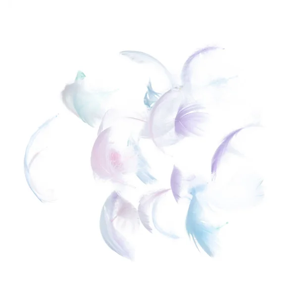 Viele Pastellfedern Fliegen Isoliert Der Luft Über Weißem Hintergrund Geschwollene — Stockfoto