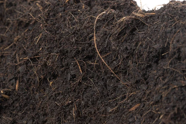 黒肥料土壌の植え付け準備ができて 庭の農業のための根を持つ良い有機土壌 根のほこり汚れと土壌の山のテクスチャの詳細を設定します 白い背景の上に選択的な焦点を閉じる孤立した — ストック写真