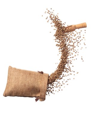 Coriander seed fly throw up in Sack Bag, brown coriander seed float explode, abstract cloud fly. Dried coriander seeds splash throwing in Air. White background Isolated high speed shutter, freeze